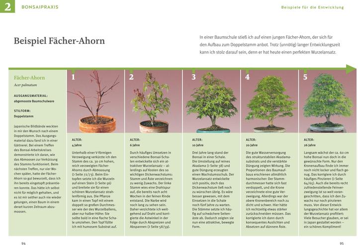 Nährwerte und Zutaten Bonsai ziehen, gestalten und pflegen (Deutsch, Johann Kastner, 2024)