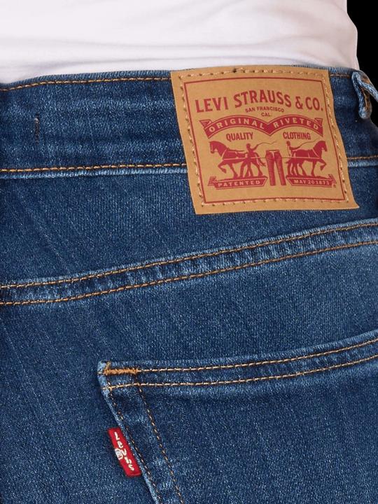 Actual product image Levis 10023507 (W32/L34)