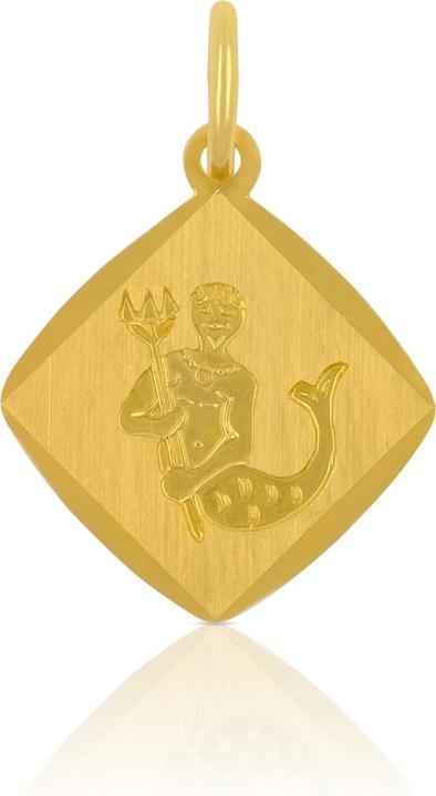Image du produit Muau Verseau (Or jaune 750/18K)