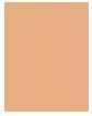 Nutritional values and ingredients Shiseido Synchro Skin Rad Lifting Fond de Teint No 360 (360 Citrine)