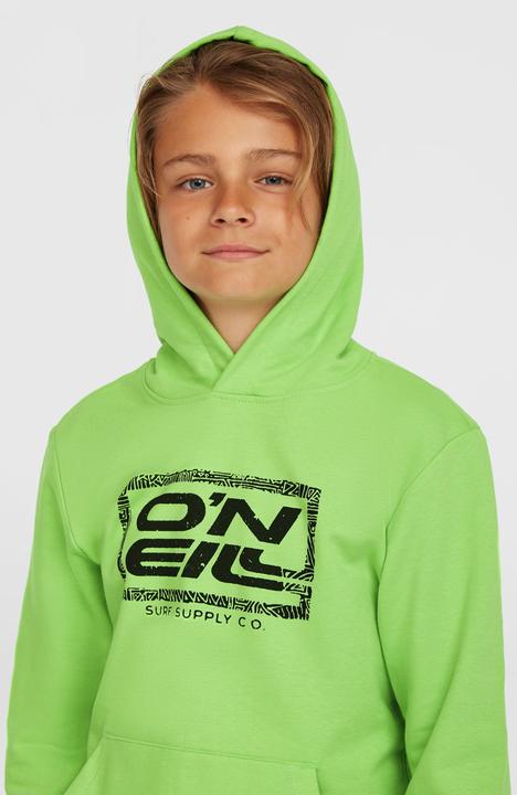 Produktbild O'Neill Logo Hoodie (152)