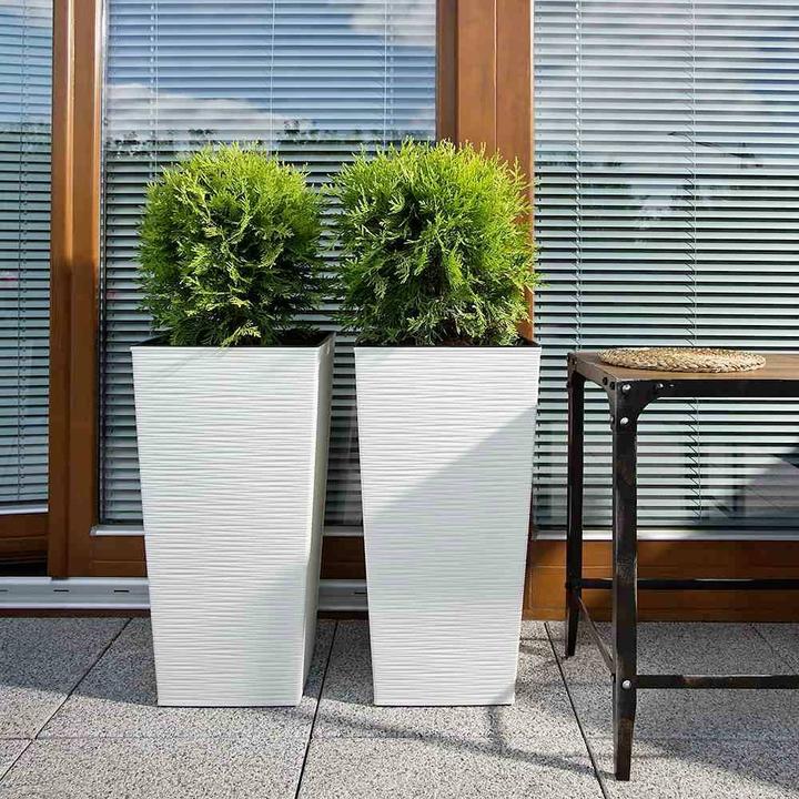 Immagine prodotto Siena Garden Modern (25 cm)