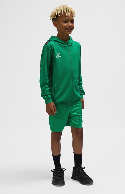 Actual product image hummel Hmlauthentic Pl Zip Hoodie Kids (128)