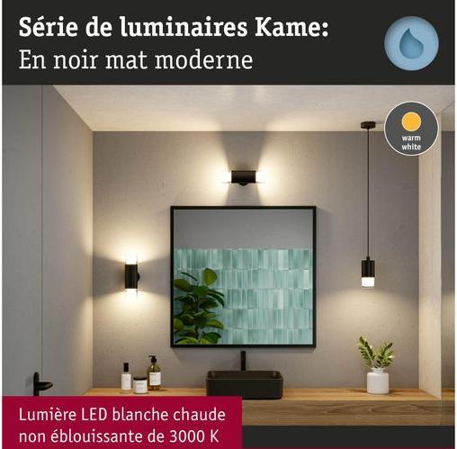 Actual product image Paulmann Badleuchte Kame (1240 lm)