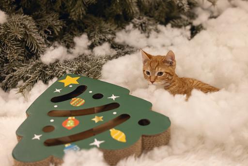 Productafbeelding Beeztees Kerst krasspeeltje (Krabspeeltje voor katten)