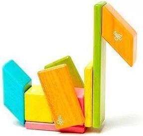 Actual product image Tegu Magnetic