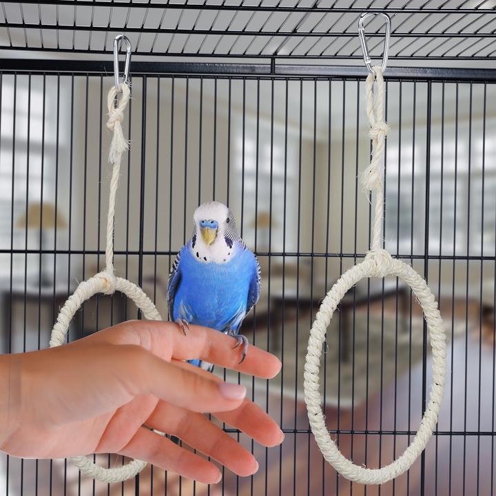 Actual product image Relaxdays 2x bird swing