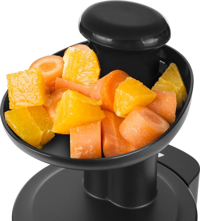 Actual product image Tristar Slow-Entsafter (EU plug)