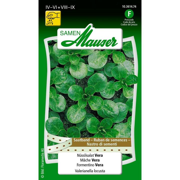 Image du produit Samen Mauser Ruban de graines de rampon Vera (Graines de légumes)