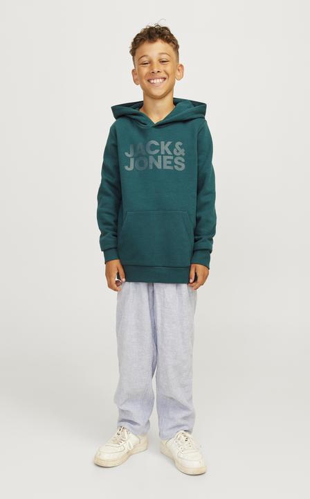 Produktbild Jack & Jones Jjecorp Logo Sweat Hood Noos Jnr (140)
