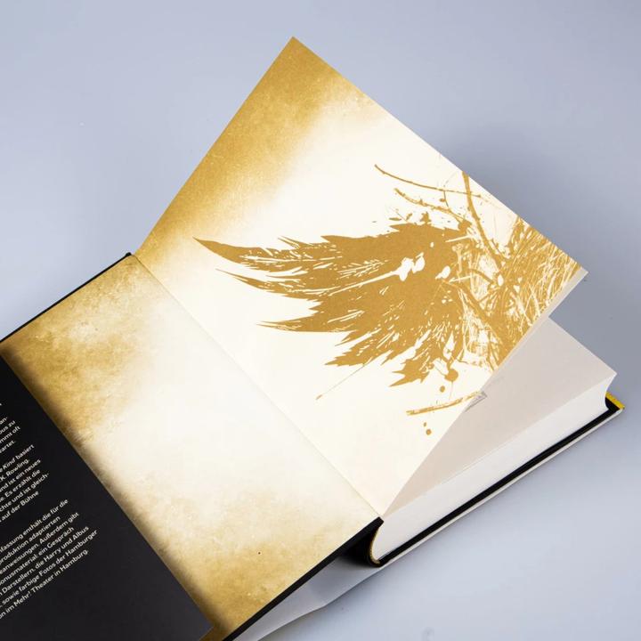 Image du produit Harry Potter et l'enfant maudit. Partie un et deux (version scénique allemande) (Harry P (Jack Thorne, John Tiffany, Allemand)