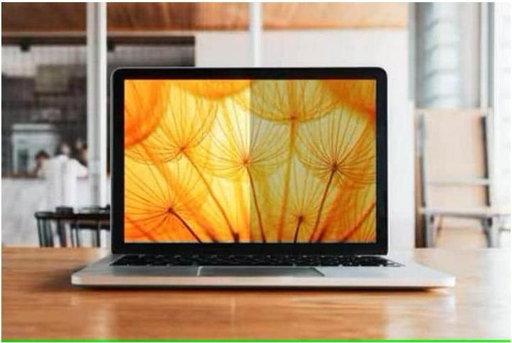 Produktbild 3M BRIGHT SCREEN PRIVACY FILTER FOR 13.3 FULL SCREEN LAPTOP 16:1 (13.30", 16 : 10)