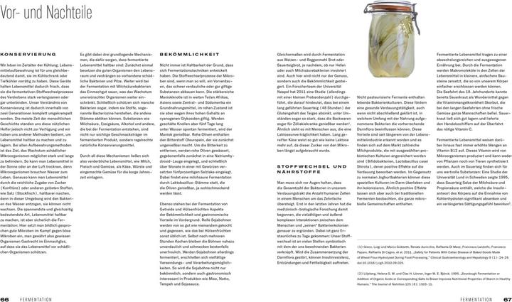 Produktbild Fermentation (Deutsch, Thomas Ruhl, Heiko Antoniewicz, Matthaes, 2021)
