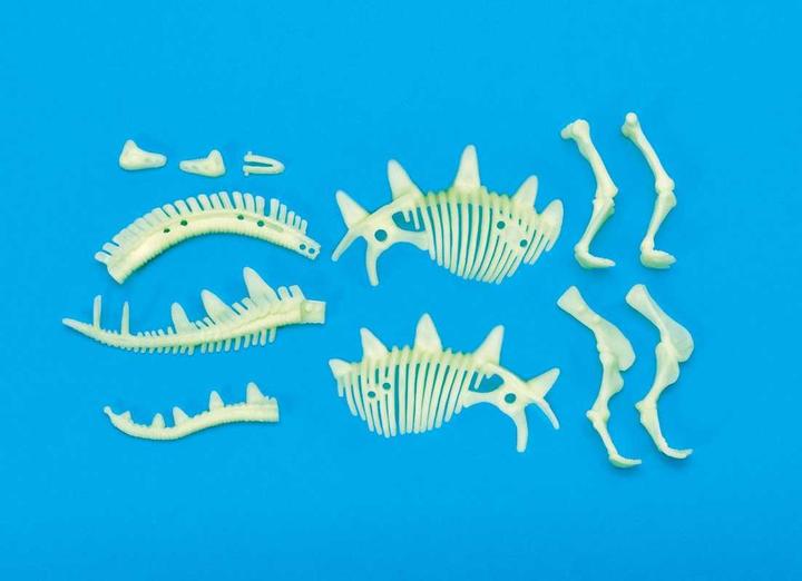 Actual product image Brainstorm Stegosaurus Skeleton Glow in the Dark