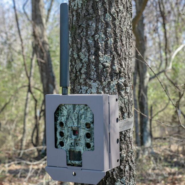 Immagine prodotto Bushnell Scatola di sicurezza per videocamere da trail