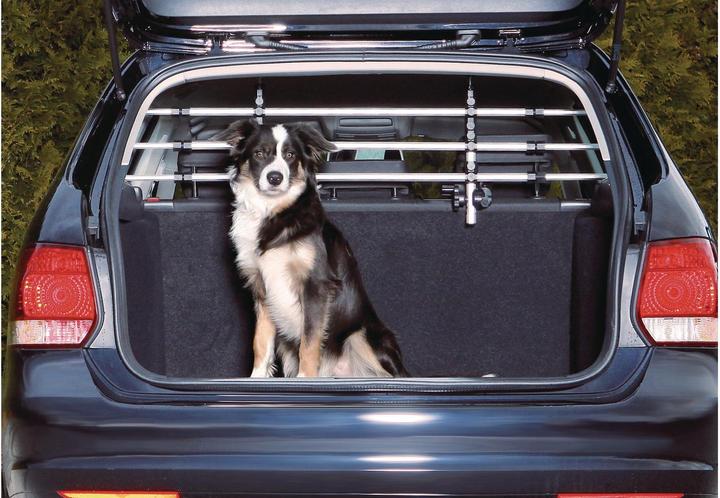 Actual product image Trixie Car Safety Guard (Dog, Safety closure)