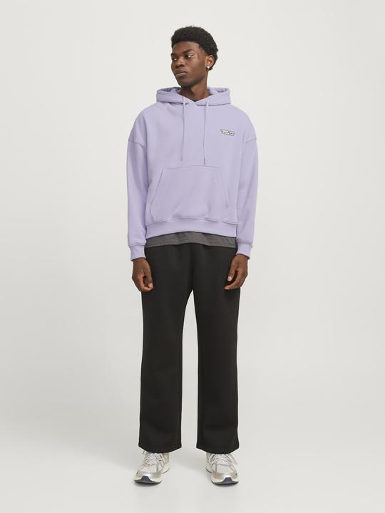 Immagine prodotto Jack & Jones Gedruckt Kapuzenpullover Kapuzenpullover (XS)