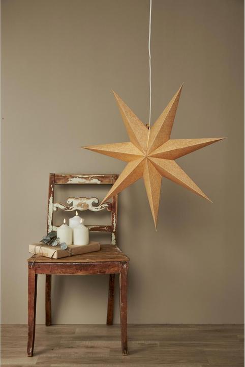 Produktbild Star Trading Papierstern Cotton