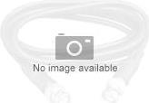 Actual product image Roline Network cable (UTP, CAT6, 0.30 m)