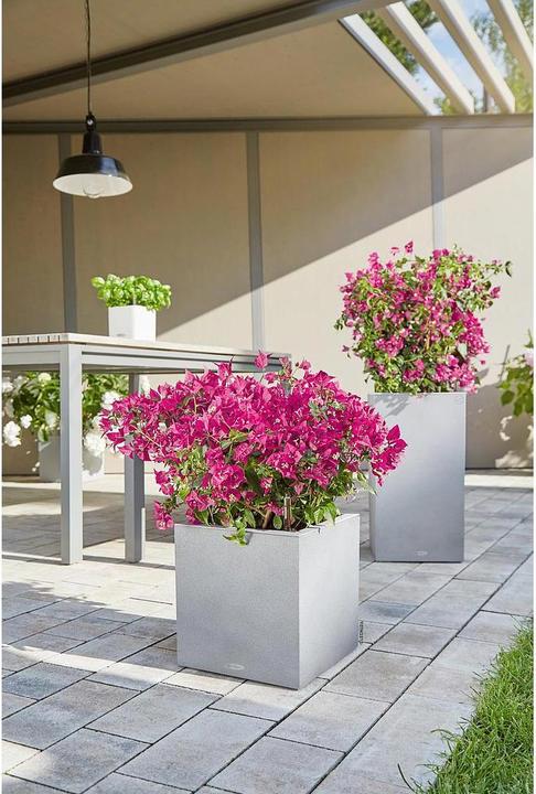 Produktbild Lechuza Canto Color Würfel (30 cm)