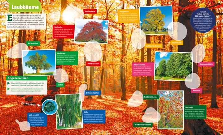 Produktbild Tessloff Was ist was - Stickerheft Wald