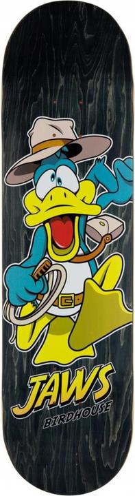 Image du produit Birdhouse Duck Jones (8.38")