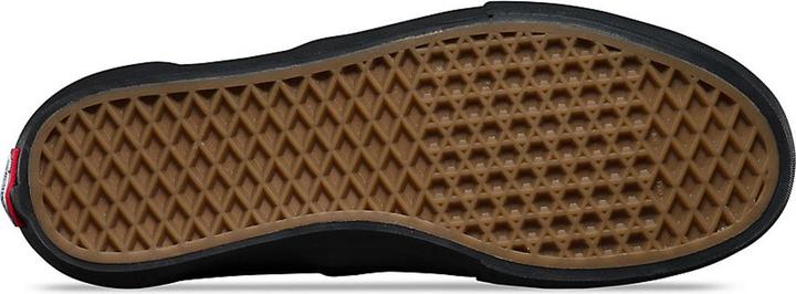 Actual product image Vans Era Pro (41)