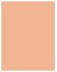 Actual product image Shiseido Total Radiance Foundation (N3 Neutral)