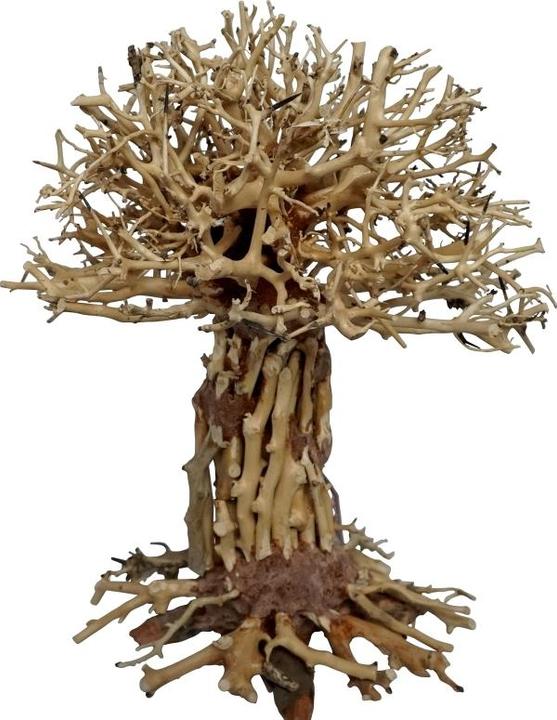 4fish Traerødder, Pagode Bonsai, 30x20x35 cm (sonstige Gegenstände)