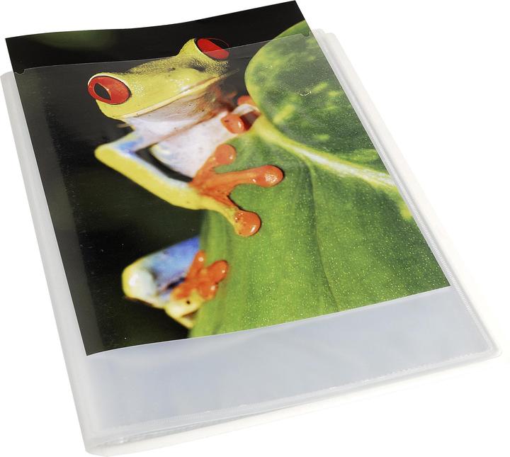 Actual product image Exacompta Display folder (A4, 1 x)