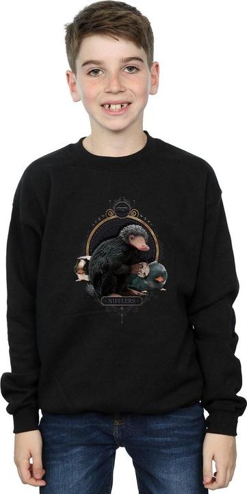 Produktbild Fantastic Beasts Baby Nifflers Sweatshirt Jungen (140, 146)