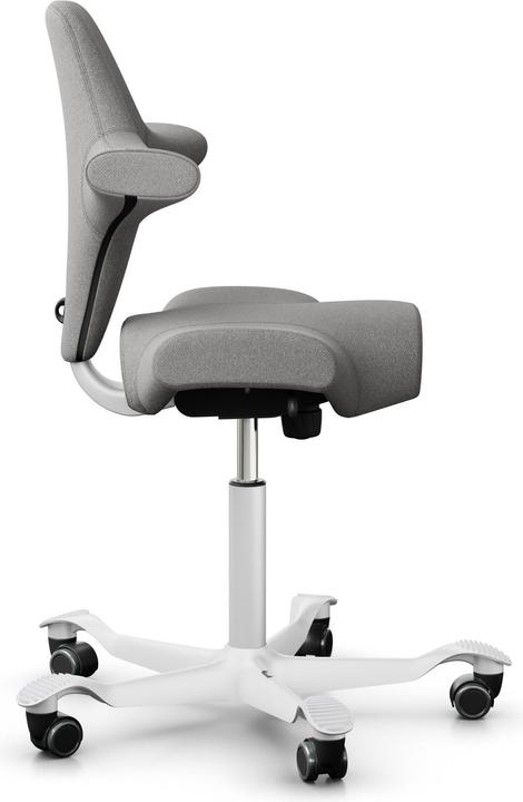Actual product image HAG Capisco