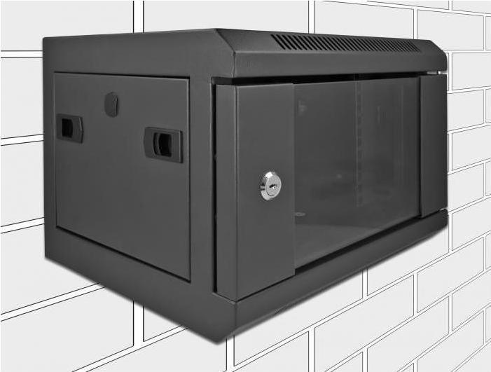 Actual product image Delock Wall cabinet 10 with glass door 10 / 4U / Black (4 RU, 10 inch rack)