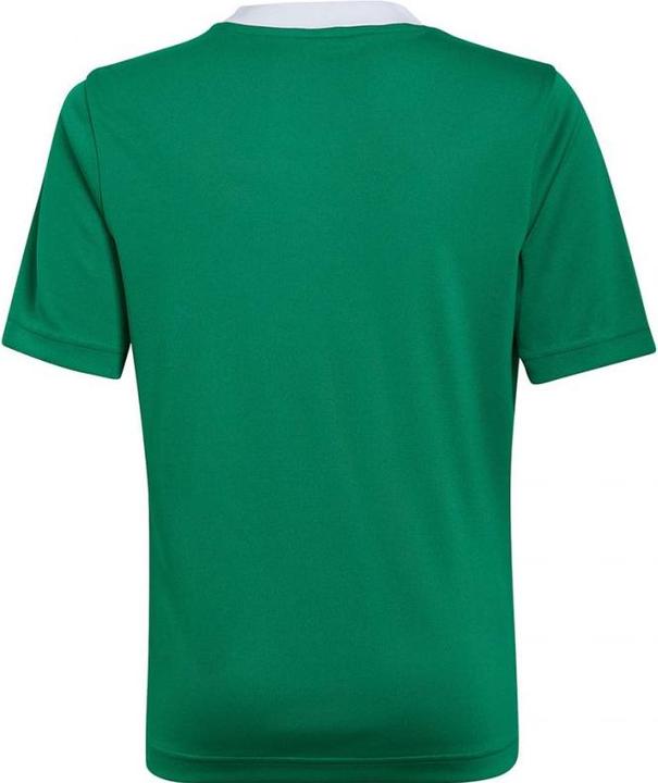 Image du produit adidas Maillot Entrada 22 (116)