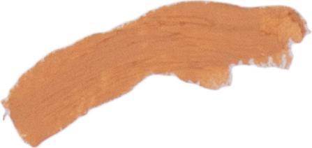 Actual product image Benecos BIO Correction Stick Vanilla - 4,5g - (4,5g)
