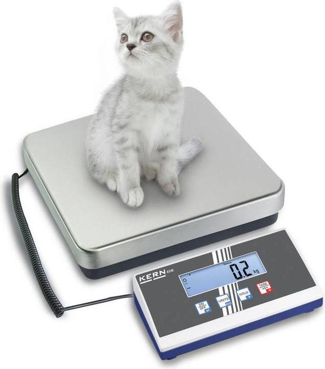 Produktbild Kern Plattformwaage 300kg / Auflösung 100 g, DKD/DAkkS-kalibriert