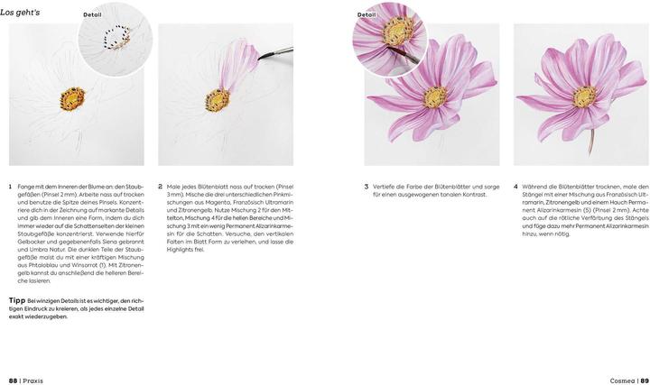 Produktbild Botanicals – Naturmotive in Aquarell