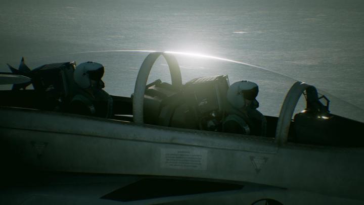 Immagine prodotto Bandai Namco Ace Combat 7: Skies Unknown (PS4, DE)
