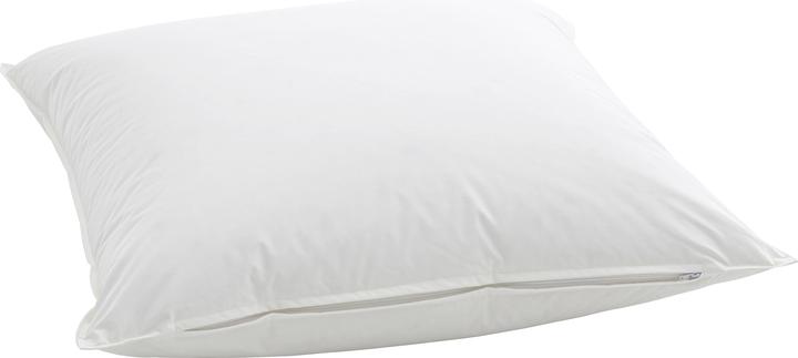 Immagine prodotto Billerbeck Casa Fibra (60 x 90 cm)
