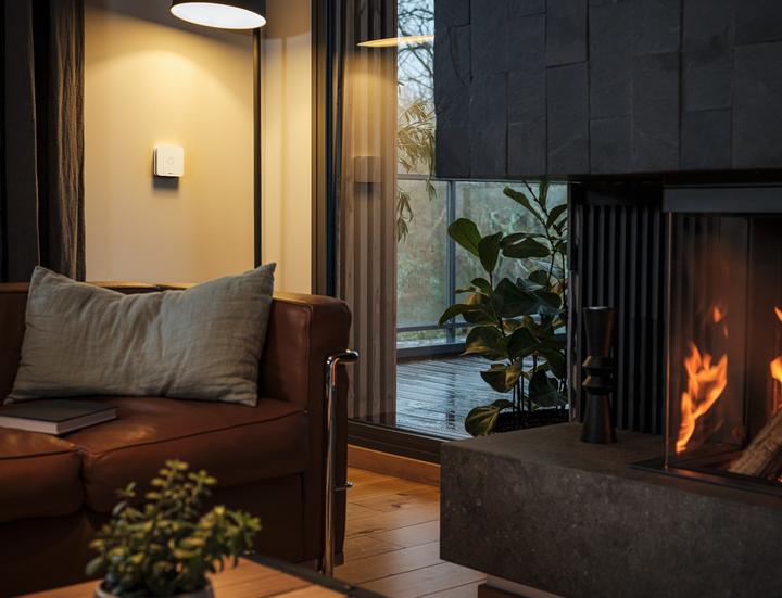Actual product image Netatmo Carbon monoxide detector (EU version)