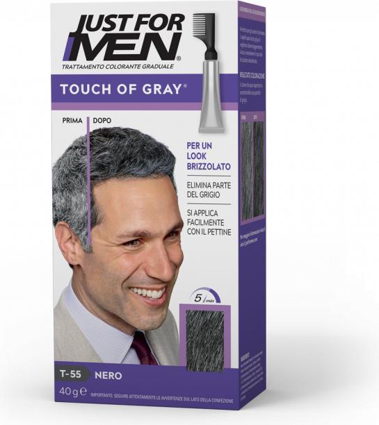 Just For Men Touch of Gray (T-55)