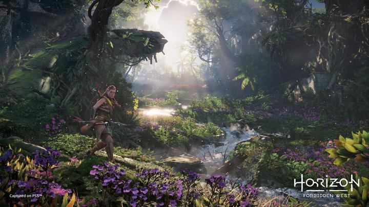 Produktbild Sony Horizon 2 Forbidden West - Special Edition (Free upgrade to PS5) (PS4, DE, IT, FR)