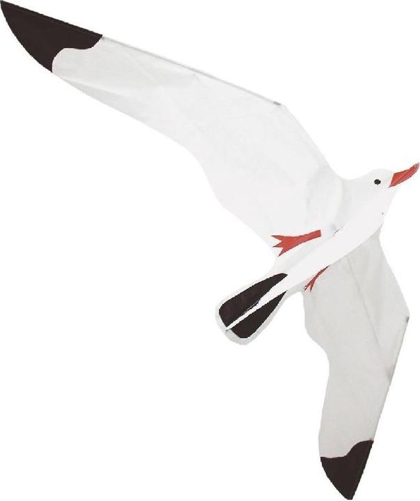 Actual product image Rhombus Kite Seagull