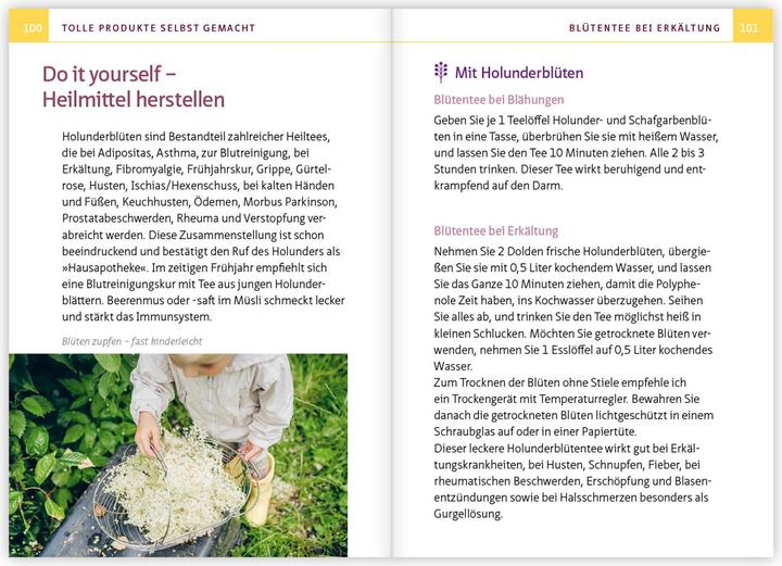 Produktbild Holunder - Juwel der Hausapotheke. Kompakt-Ratgeber (Deutsch, Barbara Simonsohn, 2024)