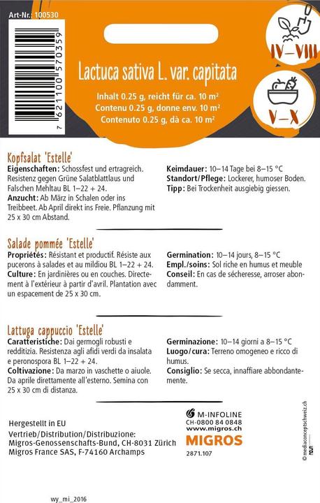 Produktbild Do it + Garden Kopfsalat 'Estelle' 0.25g (Gemüsesamen)