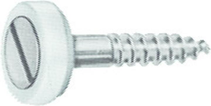 Werkstarck Screw rosettes (100 Screws per piece)
