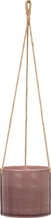 Image du produit Scheurich Pot de fleurs suspendu 15 cm, aubergine (16 cm)