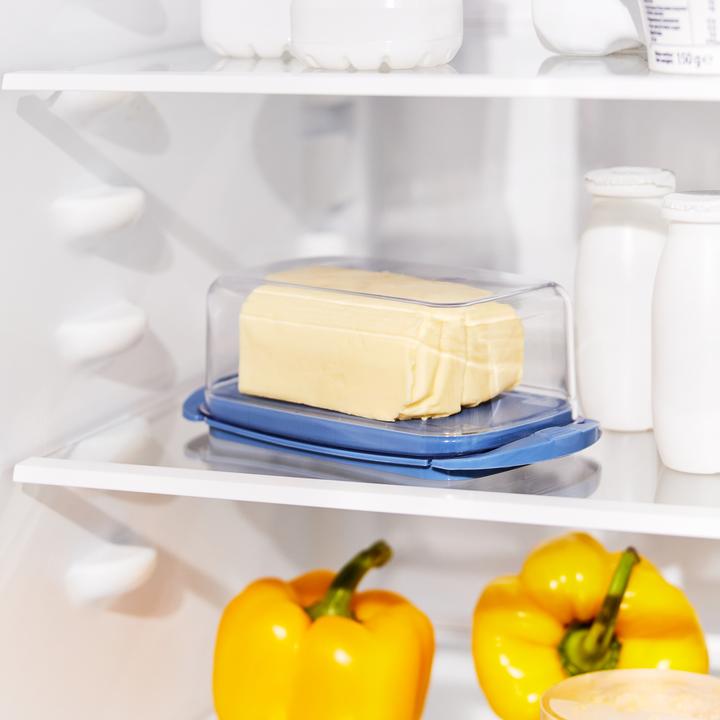 Actual product image Rotho FRESH butter dish