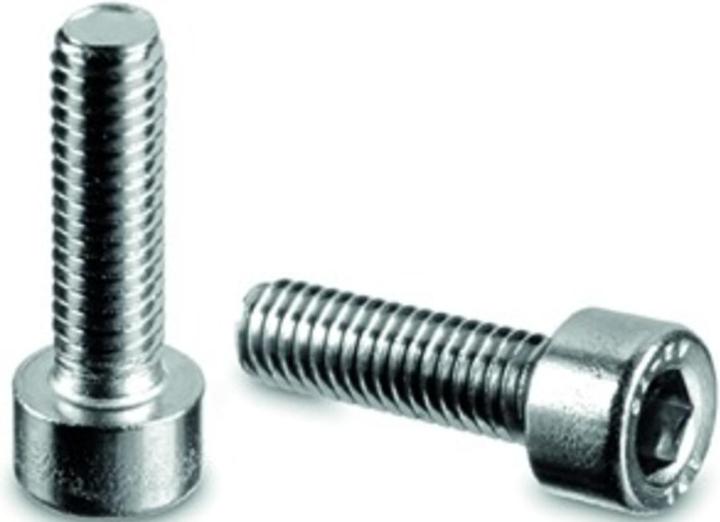 Wagner System cheese-head screw