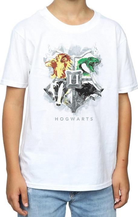 Produktbild Hogwarts Painted Crest TShirt Jungen (140, 146)